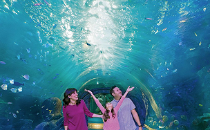 Grand aquarium tunnel at Branson's Aquarium at the Boardwalk with fish swimming overhead
